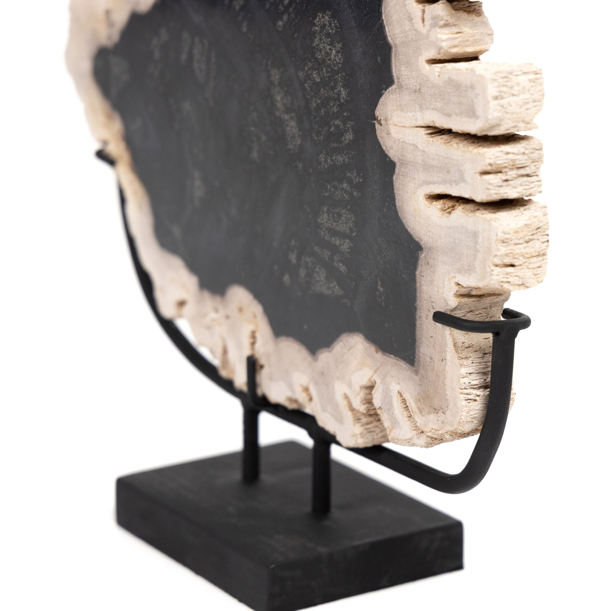 PETRIFIED WOOD SCULPTURE-DARK