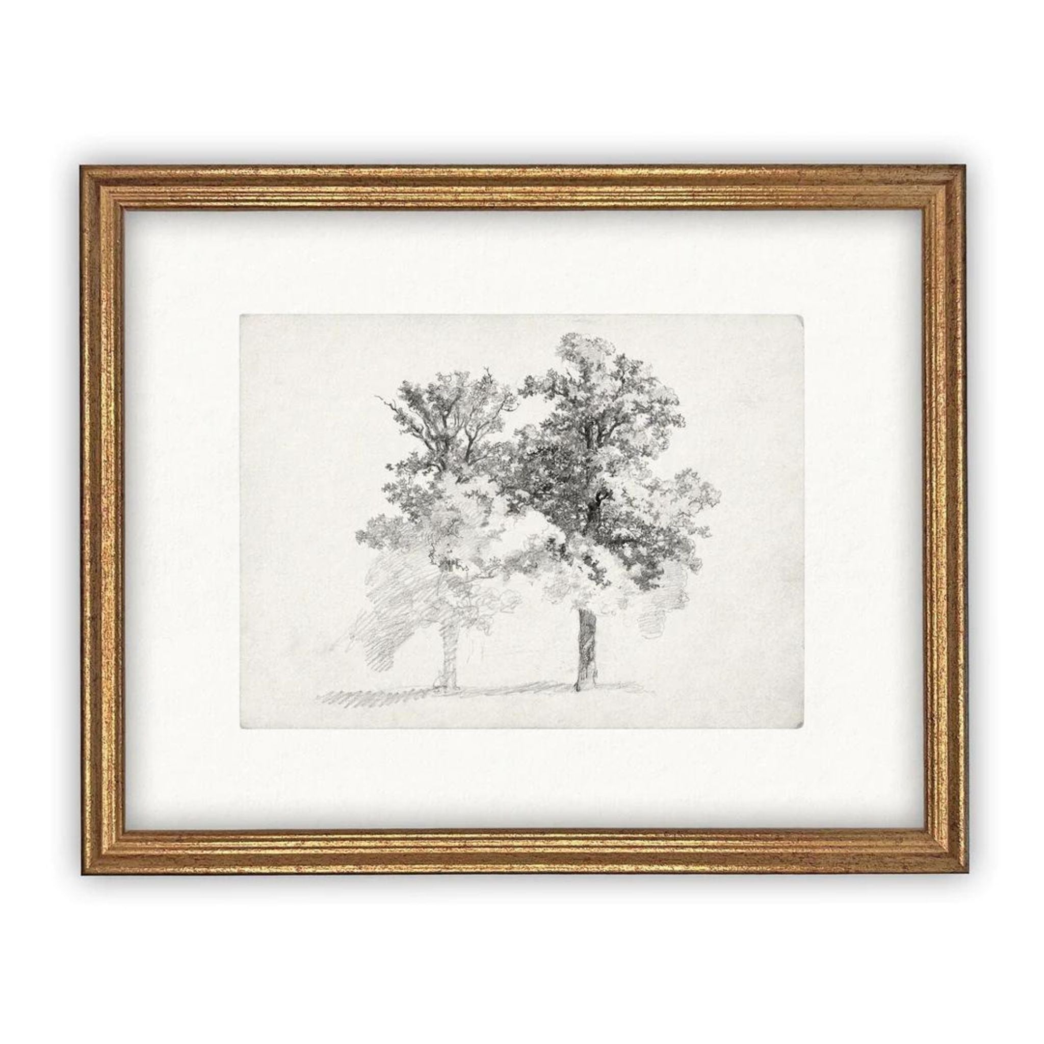 VINTAGE FRAMED CANVAS ART - TWO TREES - CASA FRAME